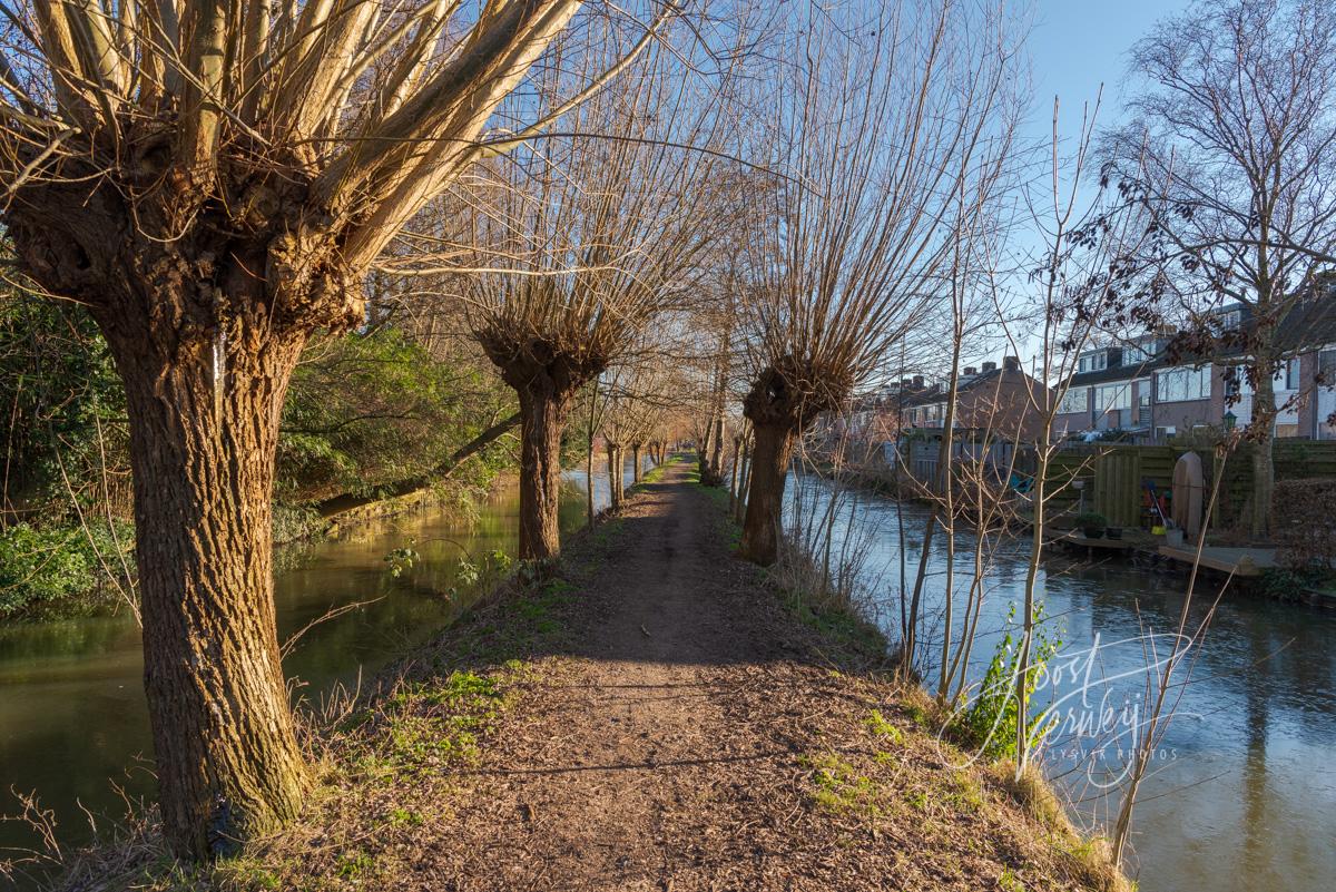 Wandelpad met wilgen op Achterdijk