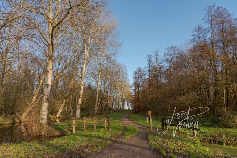 Wandelpad naar het Alblasserbos