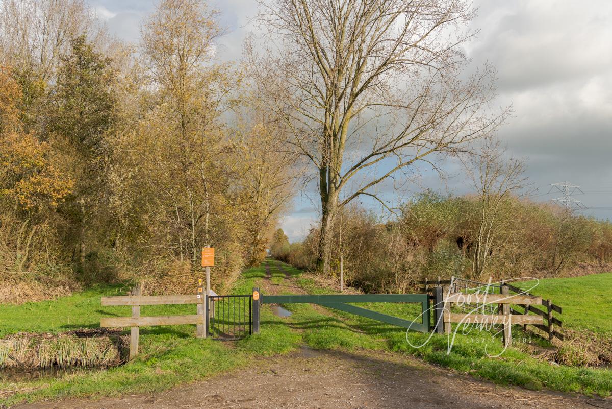 Toegang wandelpad oostelijk deel Alblasserbos